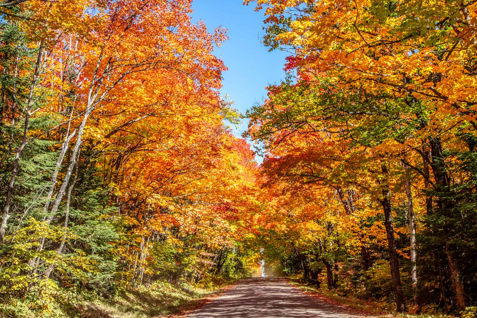 Fall Colors on the North Shore Poplar River Condos at Lutsen